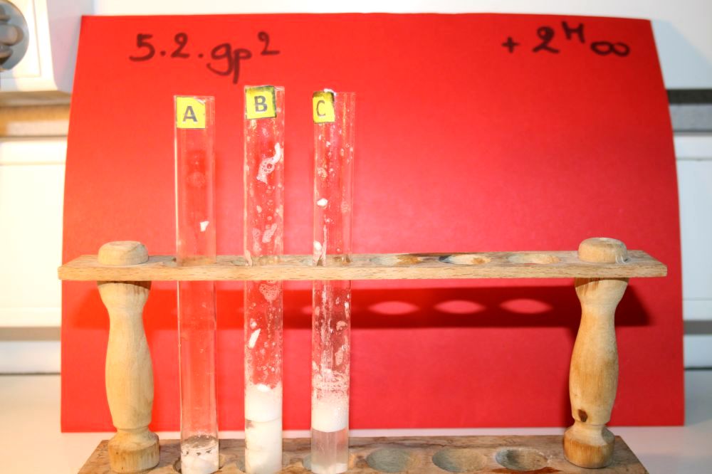 gal/LES_CINQUIEMES/ACTIVITE DIGESTION IN VITRO/Groupe_02/Groupe02_T_02h00min/Groupe02_temps02H00min_4.jpg